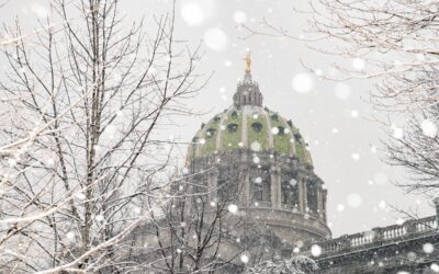 Senator Comitta Responds to Governor’s Budget Address