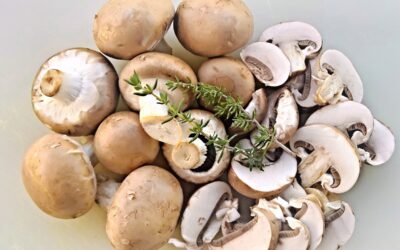 American Mushroom Institute Awarded $40,000 in State Grant Funding