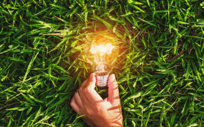 Comitta: Small Businesses Can Apply for Energy Efficiency Grants