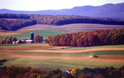 Comitta: Two Local Farms Part of 21 Preserved Across Pa.