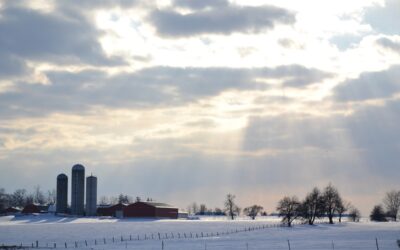 Comitta: More than 150 Acres of Local Farmland Preserved