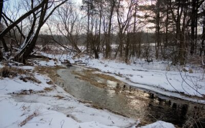 Comitta Announces $1.3 Million for Watershed Protection Projects