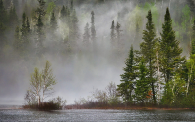 Combating Climate Change: RGGI Means Cleaner Air, a Stronger Economy for Pennsylvania