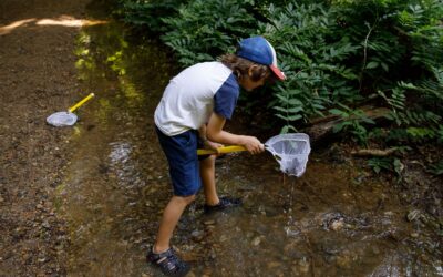 Nearly $1 Million in Environmental Education Grants Available