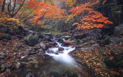 Nearly $470,000 Awarded to Improve and Protect Local Streams