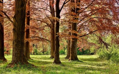 Six Outdoor Recreation and Conservation Projects Awarded More than $2.8 Million in State Funding