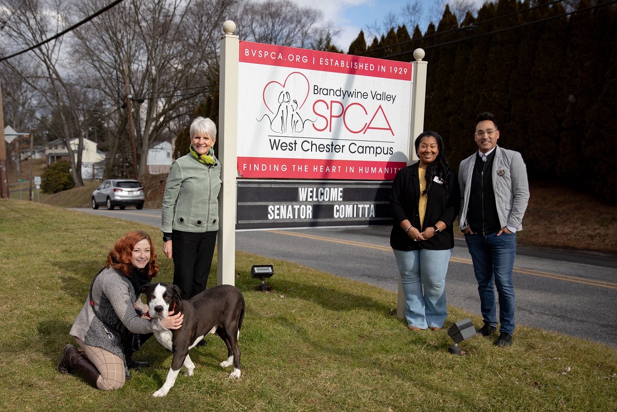 Comitta Secures Funding for Brandywine Valley SPCA Upgrades Senator