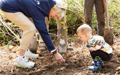 Comitta: Applications Now Open for Environmental Education Grants