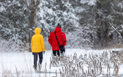 Comitta Announces Funding for Trails, Parks, Watersheds and Open Space