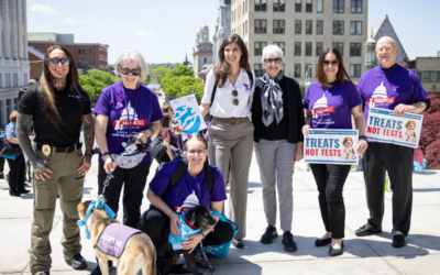 Comitta Honored for Working to Protect Animals